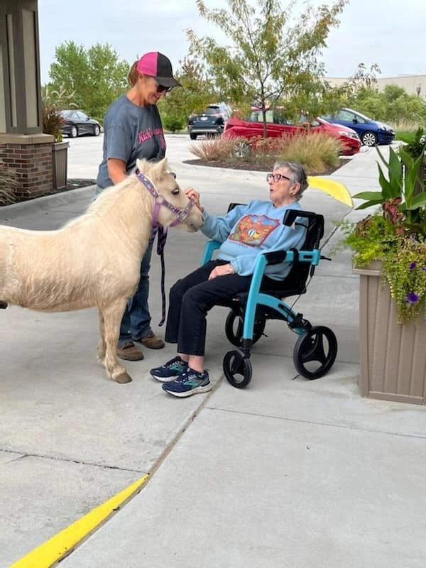 Man holding alpaca with elderly woman in wheelchair